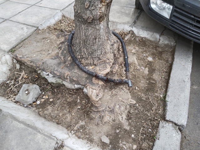 Φωτογραφία 2