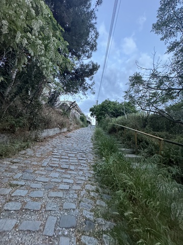 Φωτογραφία 3