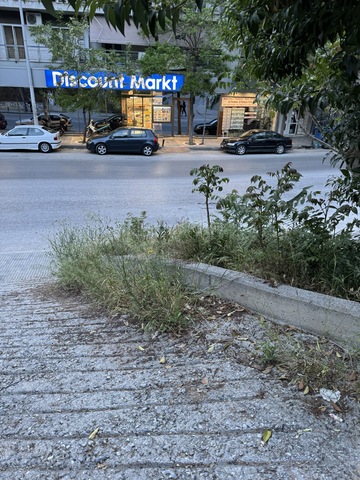 Φωτογραφία 4