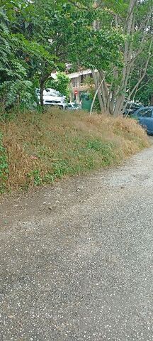 Φωτογραφία 4