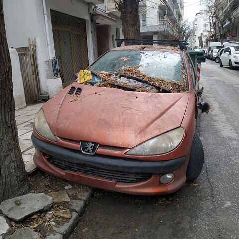 Φωτογραφία 3