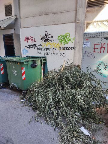 Φωτογραφία 3