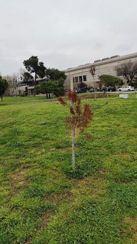 Φωτογραφία 4