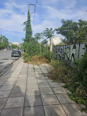 Φωτογραφία 2