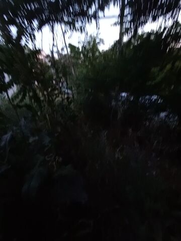 Φωτογραφία 2