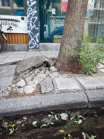 Φωτογραφία 3