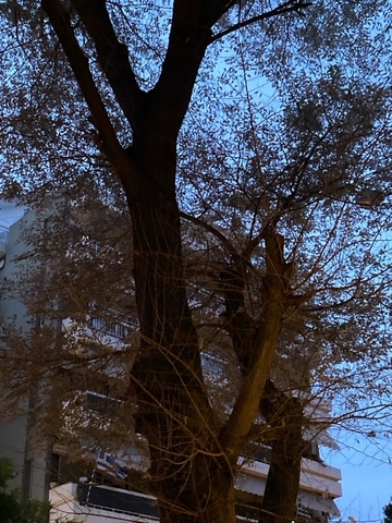 Φωτογραφία 2