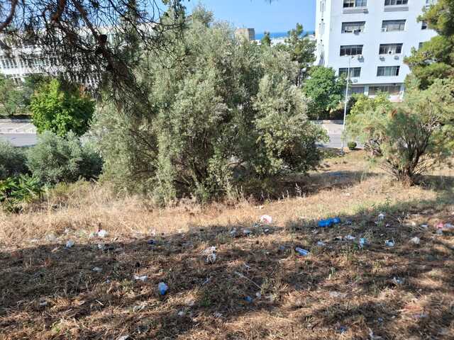 Φωτογραφία 4