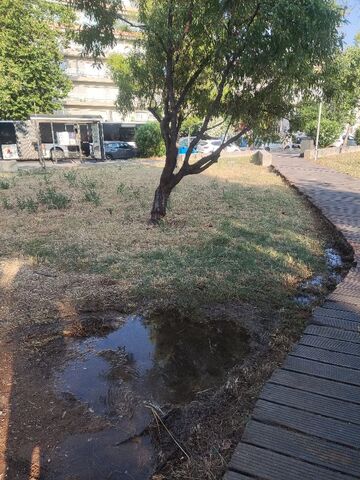 Φωτογραφία 3