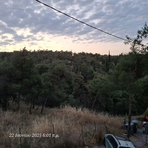 Φωτογραφία 2