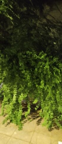 Φωτογραφία 2