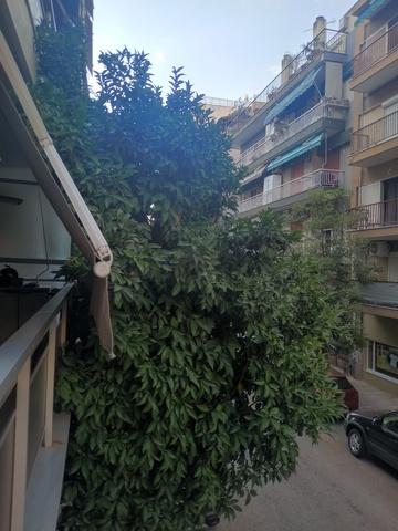 Φωτογραφία 2