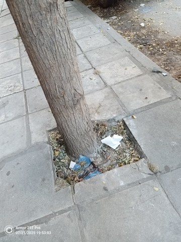 Φωτογραφία 2