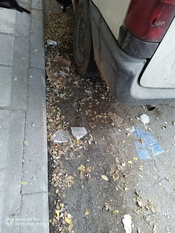 Φωτογραφία 3