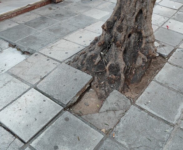 Φωτογραφία 2