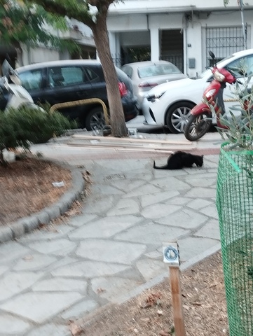 Φωτογραφία 2