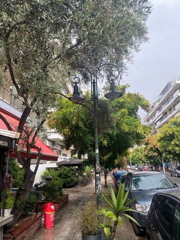 Φωτογραφία 2