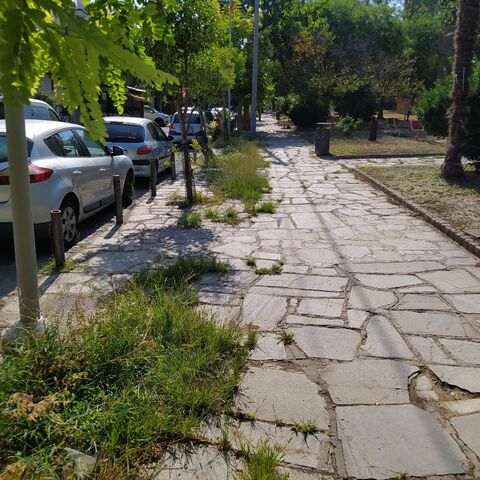 Φωτογραφία 4