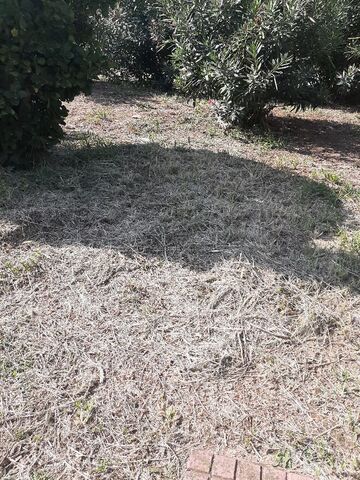 Φωτογραφία 2