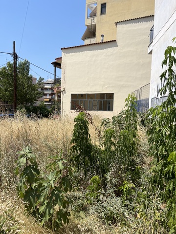 Φωτογραφία 3