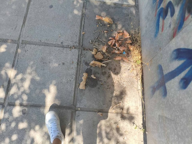 Φωτογραφία 2