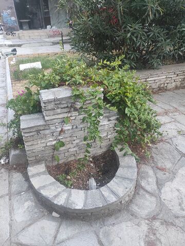 Φωτογραφία 2