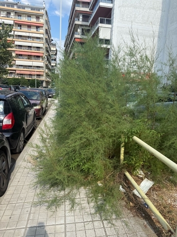 Φωτογραφία 2