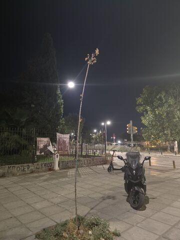 Φωτογραφία 2