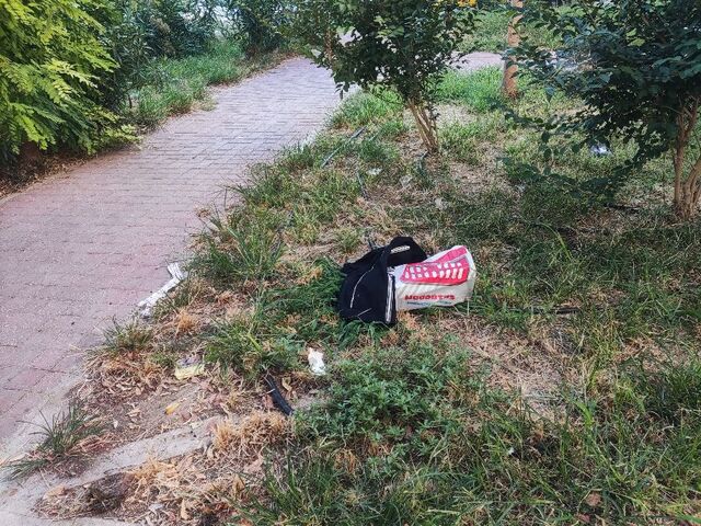 Φωτογραφία 2