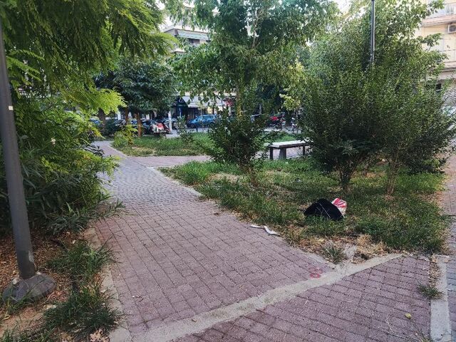 Φωτογραφία 4