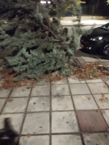 Φωτογραφία 2