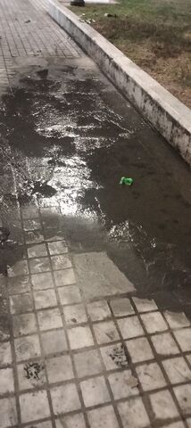 Φωτογραφία 2