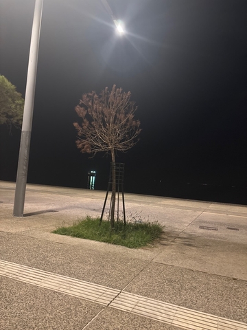 Φωτογραφία 2