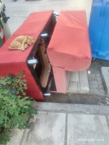 Φωτογραφία 2