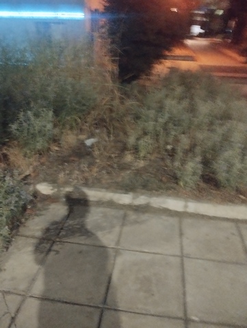 Φωτογραφία 2