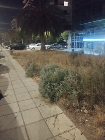 Φωτογραφία 3