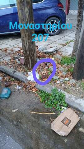 Φωτογραφία 3