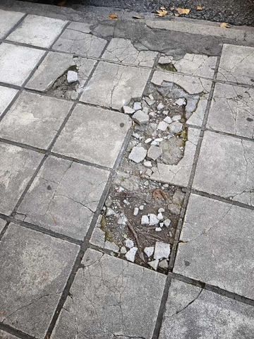 Φωτογραφία 4