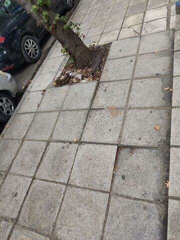 Φωτογραφία 3