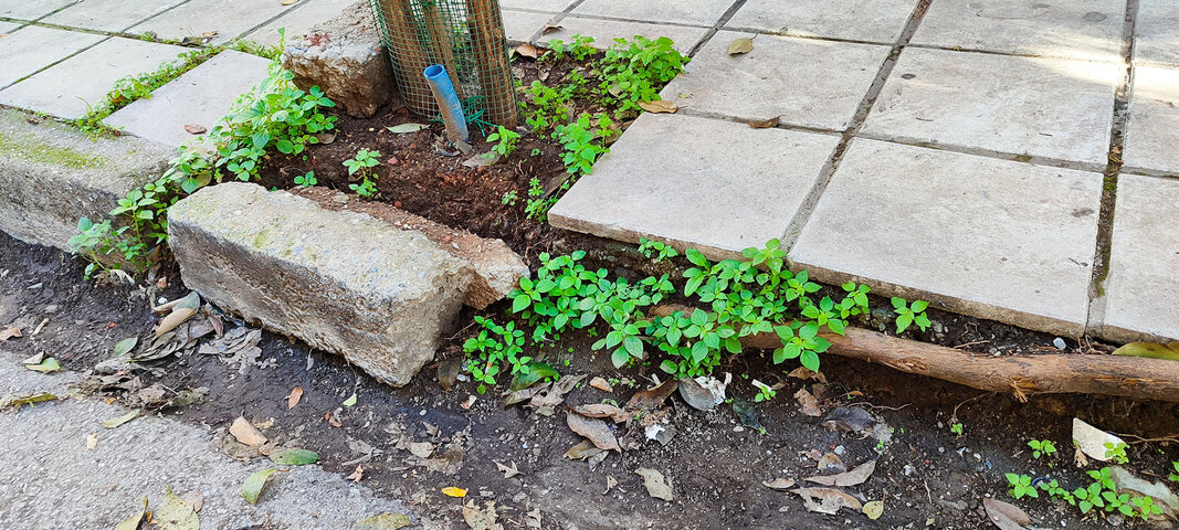 Φωτογραφία 2