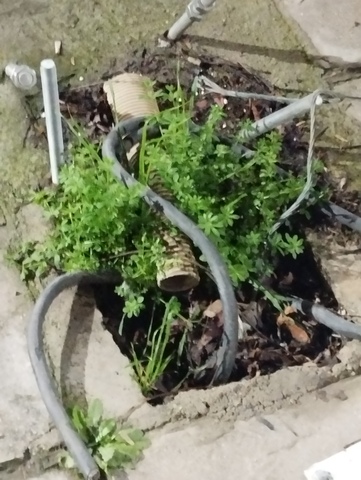 Φωτογραφία 2