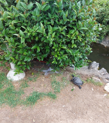 Φωτογραφία 2