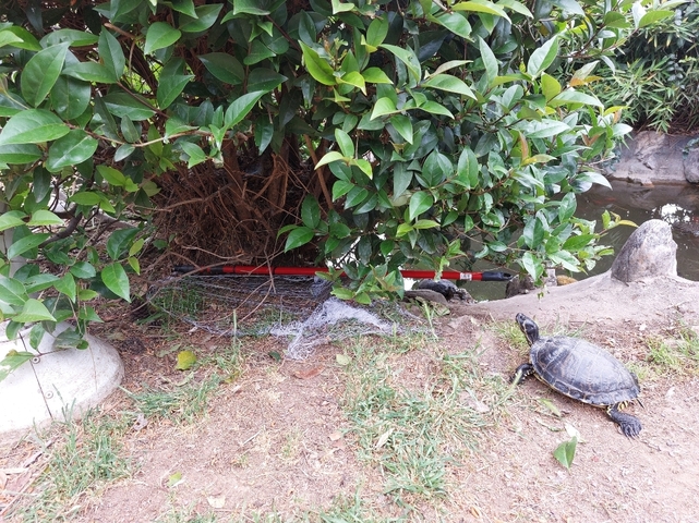 Φωτογραφία 3