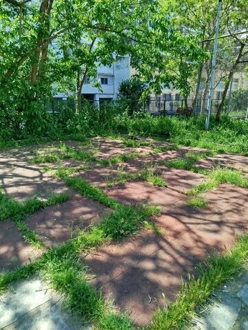 Φωτογραφία 3