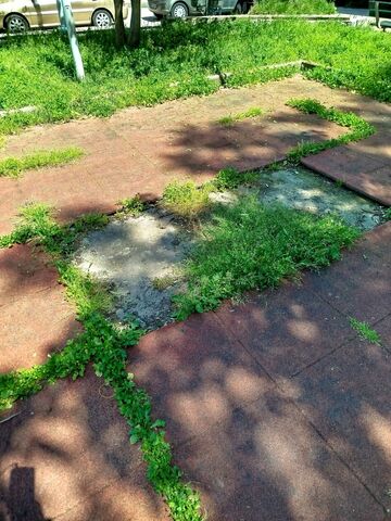 Φωτογραφία 4