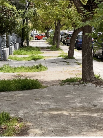 Φωτογραφία 2