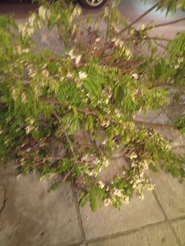 Φωτογραφία 2