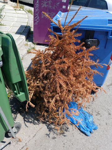 Φωτογραφία 3