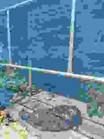 Φωτογραφία 3