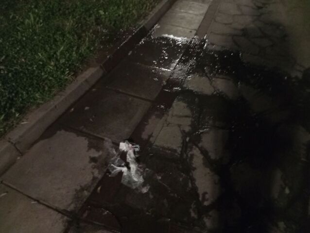 Φωτογραφία 2